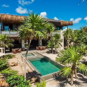 https://beachfront-villa-la-semilla-by-tripintravel.allrivieramayahotels.com