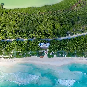 https://casa-pelcanos-tulum-beach-mx-next-to-hotel-zone.quintano-roohotels.com